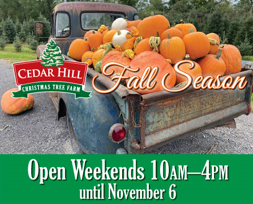 Featured image for Cedar Hill Fall Weekends